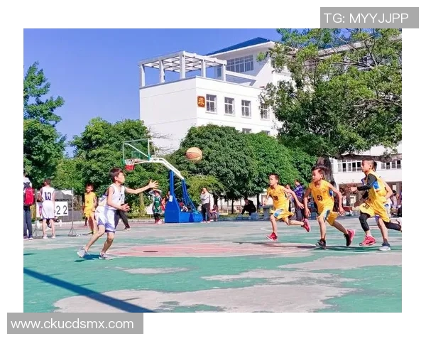 海盐姚明亮的成长之路与篮球梦想的追逐之旅 海盐姚明亮的成长之路与篮球梦想的追逐之旅