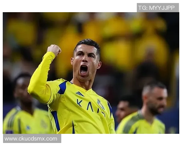 葡萄牙体育明星球员排名分析及其在足球界的影响力探讨