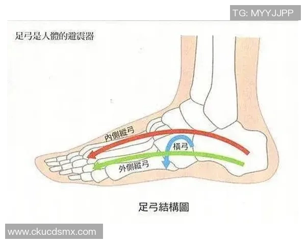 篮球明星足弓的秘密与训练技巧揭秘助你提升运动表现