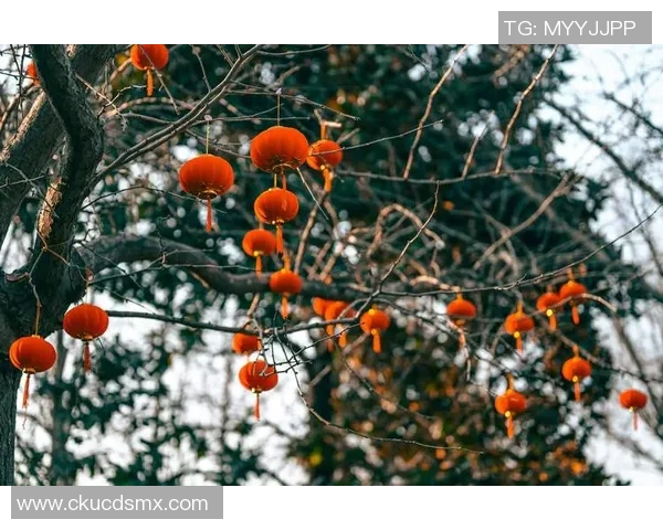 羚羊王子黑皮篮球明星的传奇之路与青春梦想的交织